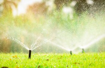 Irrigation systems in Winter Haven: 4 suppliers